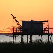 Croisière du dimanche sur l'estuaire à Terres d'Oiseaux