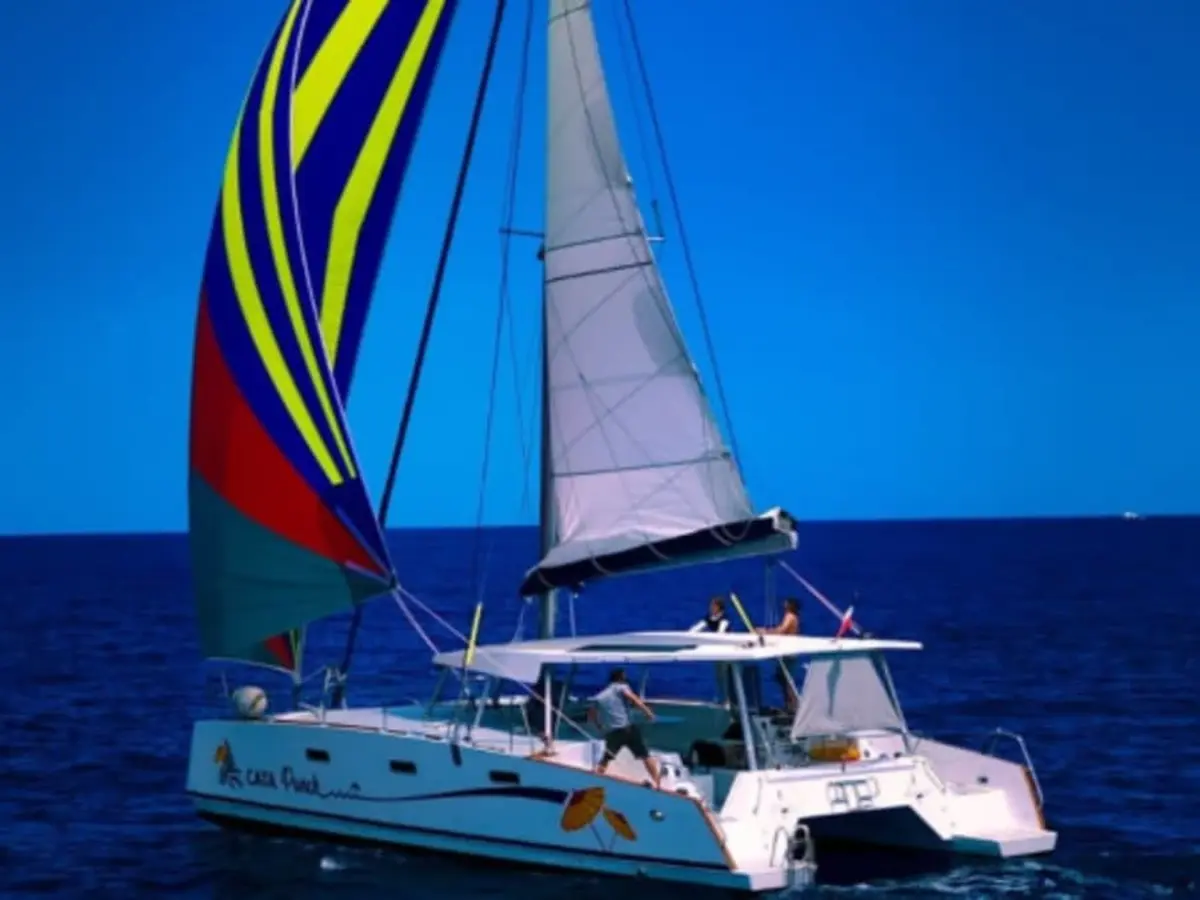 Croisière en catamaran et observation des cétacés à Saint-Gilles