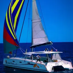 Croisière en catamaran et observation des cétacés à Saint-Gilles
