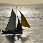 Croisière en voilier et apéritif dans le Golfe du Morbihan (56)