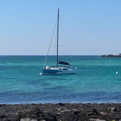 Croisière en voilier et visite de l'île à l'Archipel Glenan (29)