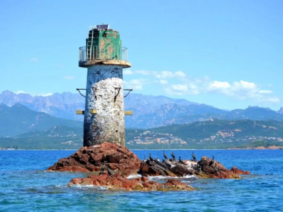 Croisière Nature et Découverte au départ de Porto Vecchio (20)