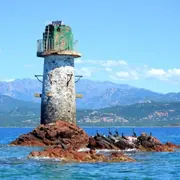 Croisière Nature et Découverte au départ de Porto Vecchio (20)