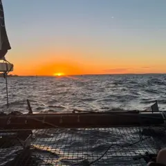 Croisière Sunset en catamaran sur le bassin d'Arcachon