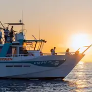 Croisière sunset et apéritif depuis Propriano (20)