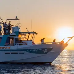 Croisière sunset et apéritif depuis Propriano (20)
