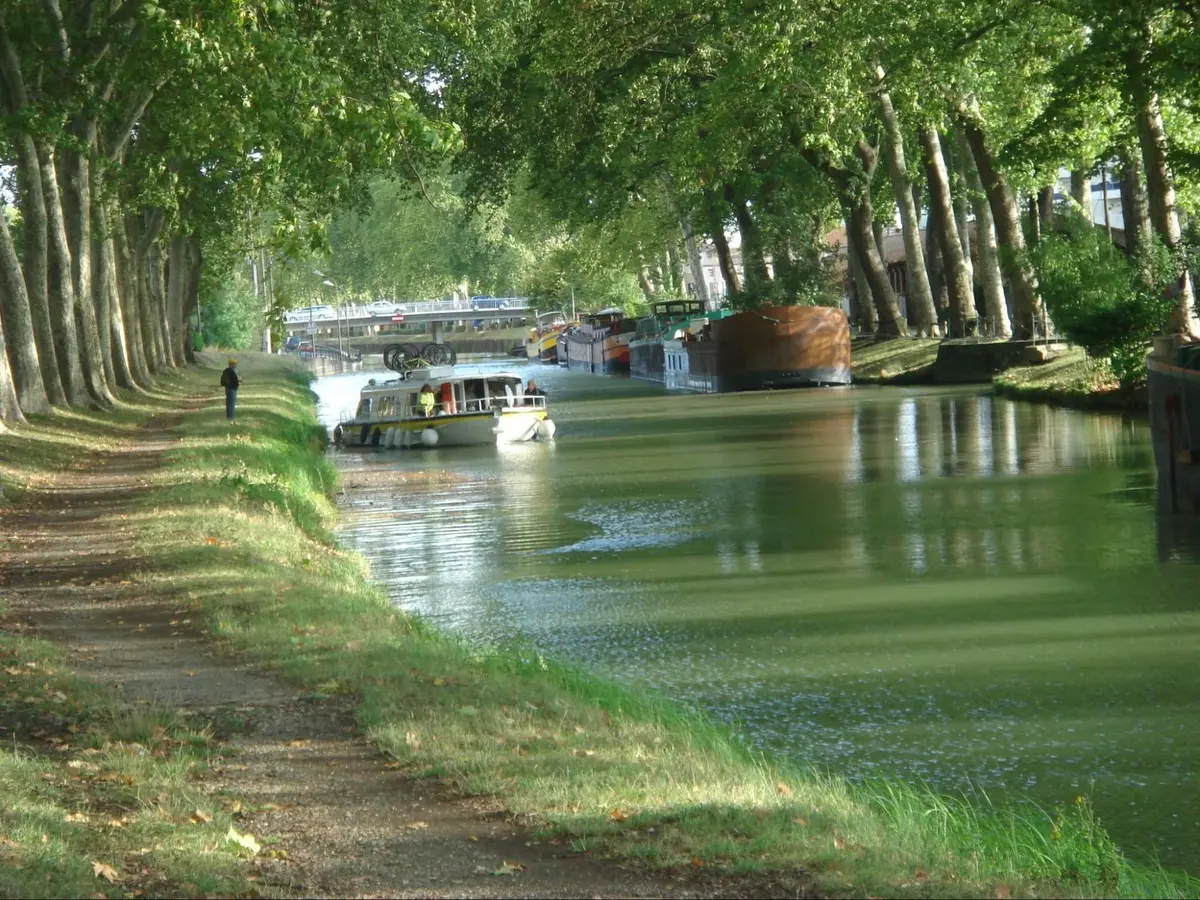 Croisière sur le Canal du Midi : voyage lent au cœur du sud de la France