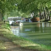 Croisière sur le Canal du Midi : voyage lent au cœur du sud de la France