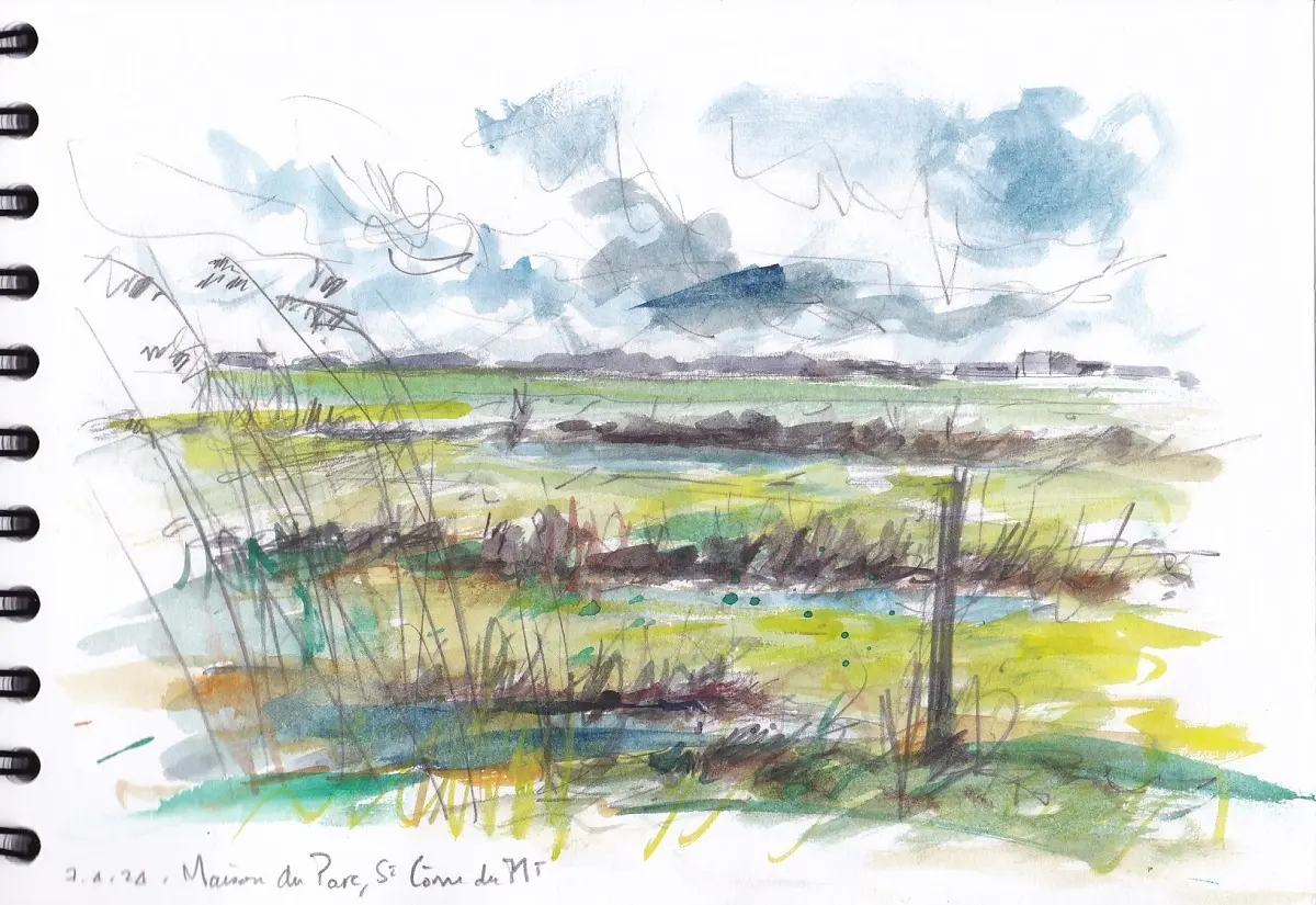 Croquis dans les marais