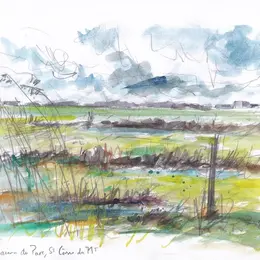 Croquis dans les marais