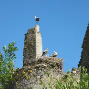 Croquis de terrain au château des cigognes