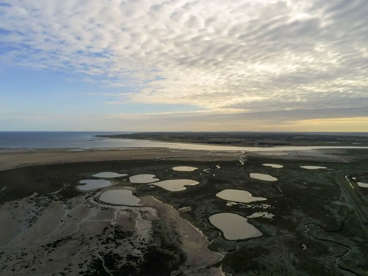 Croquis de terrain en baie des Veys
