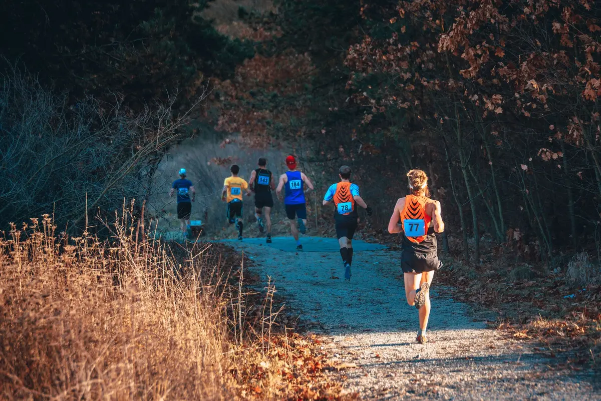 Cross de l'Erdre à La Chapelle-sur-Erdre : une compétition nationale d'athlétisme