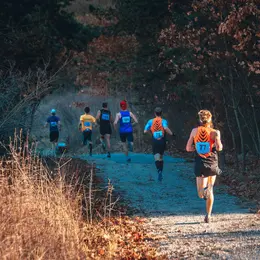 Cross de l'Erdre à La Chapelle-sur-Erdre : une compétition nationale d'athlétisme