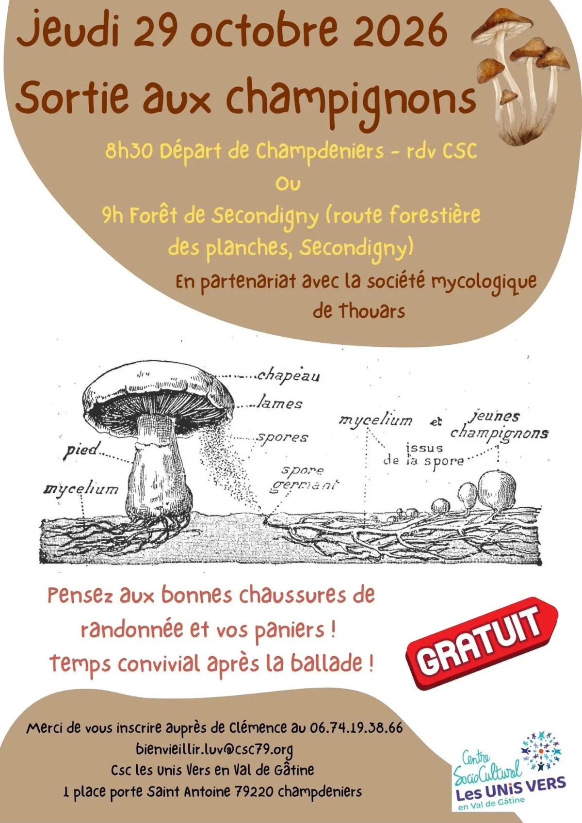 CSC : Sorties champignons