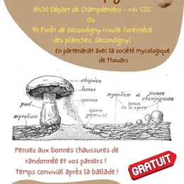CSC : Sorties champignons