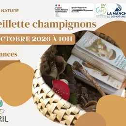 Cueillette champignons
