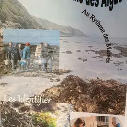 Cueillette, cuisine et dégustation des algues