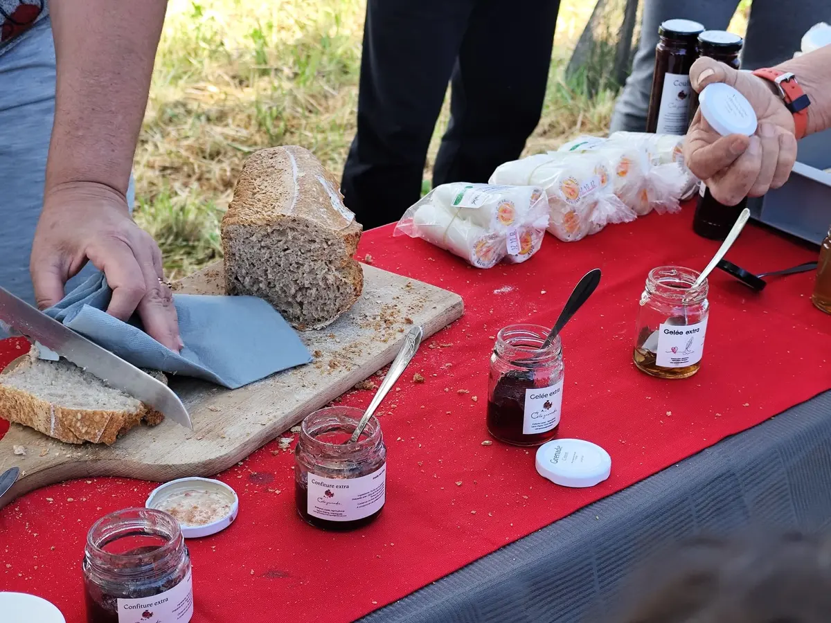 Cueillette de grenades à Martigues : Dégustation et récolte en famille