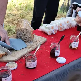 Cueillette de grenades à Martigues : Dégustation et récolte en famille