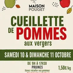 Cueillette de Pommes aux vergers