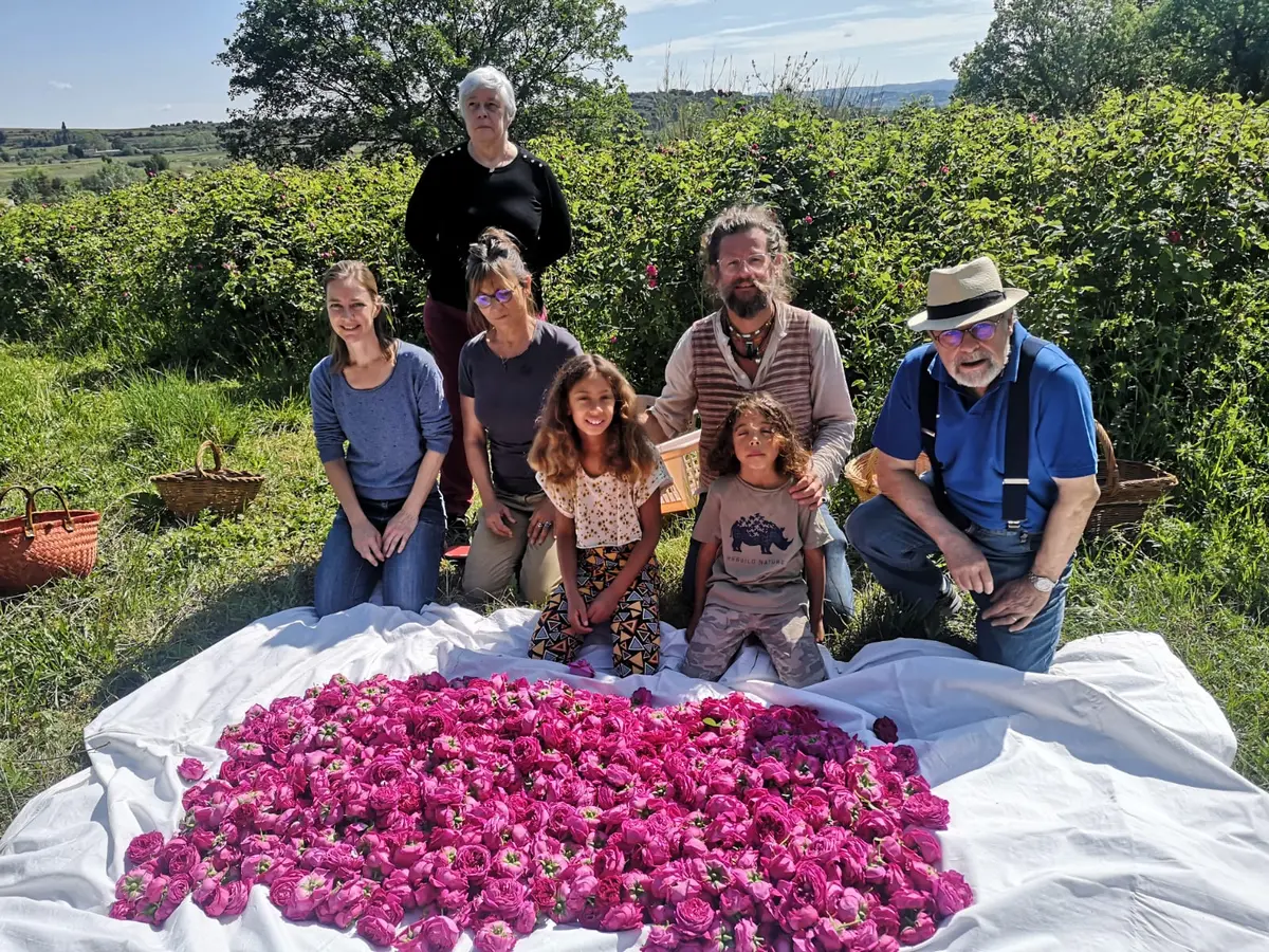 Cueillette Des Roses