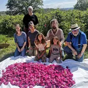 Cueillette Des Roses