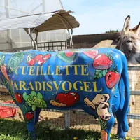Cueillette du Paradisvogel : le magasin de la ferme et son offre complète DR