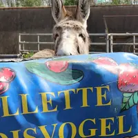 Cueillette du Paradisvogel : le magasin de la ferme et son offre complète DR