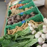 Cueillette du Paradisvogel : le magasin de la ferme et son offre complète DR