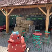 Cueillette du Paradisvogel : le magasin de la ferme et son offre complète