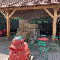 Cueillette du Paradisvogel : le magasin de la ferme et son offre complète DR