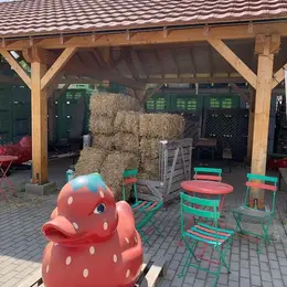 Cueillette du Paradisvogel : le magasin de la ferme et son offre complète