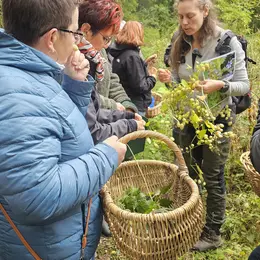 Cueillette et cuisine de plantes comestibles
