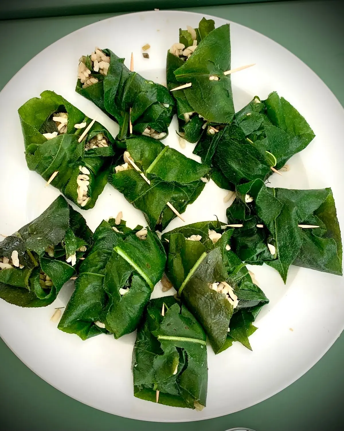 Cueillette et cuisine des plantes sauvages comestibles