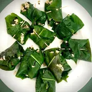 Cueillette et cuisine des plantes sauvages comestibles