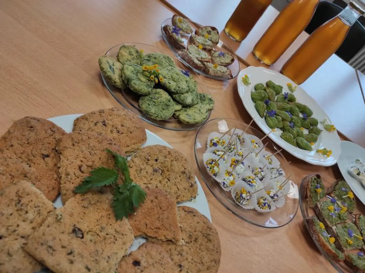 Cueillette et dégustation de plantes sauvages - formule apéritif dînatoire