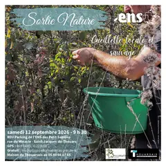 Cueillette locale et sauvage