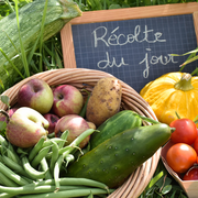 Cueillettes d'été à la Ferme de Paris