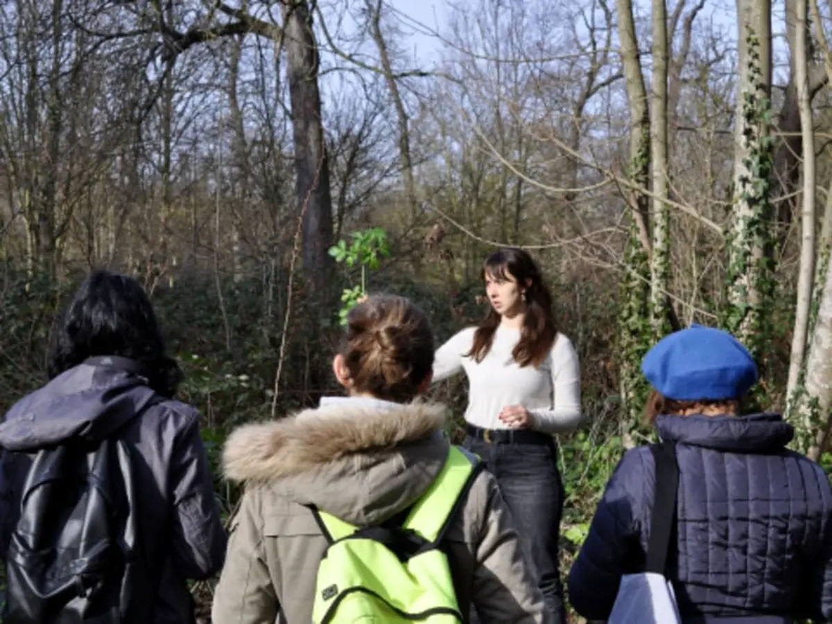 Cueillir les plantes sauvages du parc de Saint-Cloud (92)