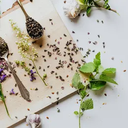Cuisine sauvage d'automne
