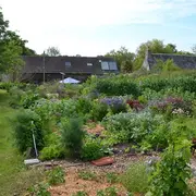Cultiver des légumes en permaculture