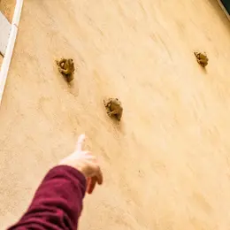 Curieuse balade : un patrimoine à préserver