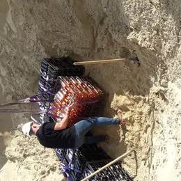 Cuvée des naufragés et journée du terroir landais