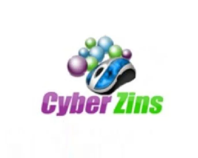 Cyberzins