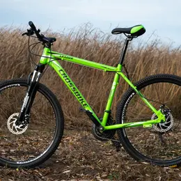 Cyclo-cross