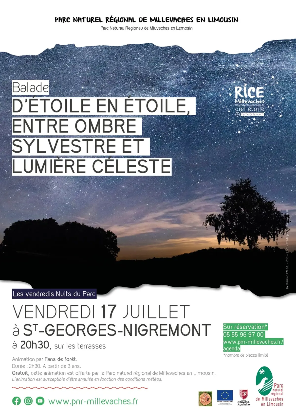 D'étoile en étoile, entre ombre sylvestre et lumière céleste