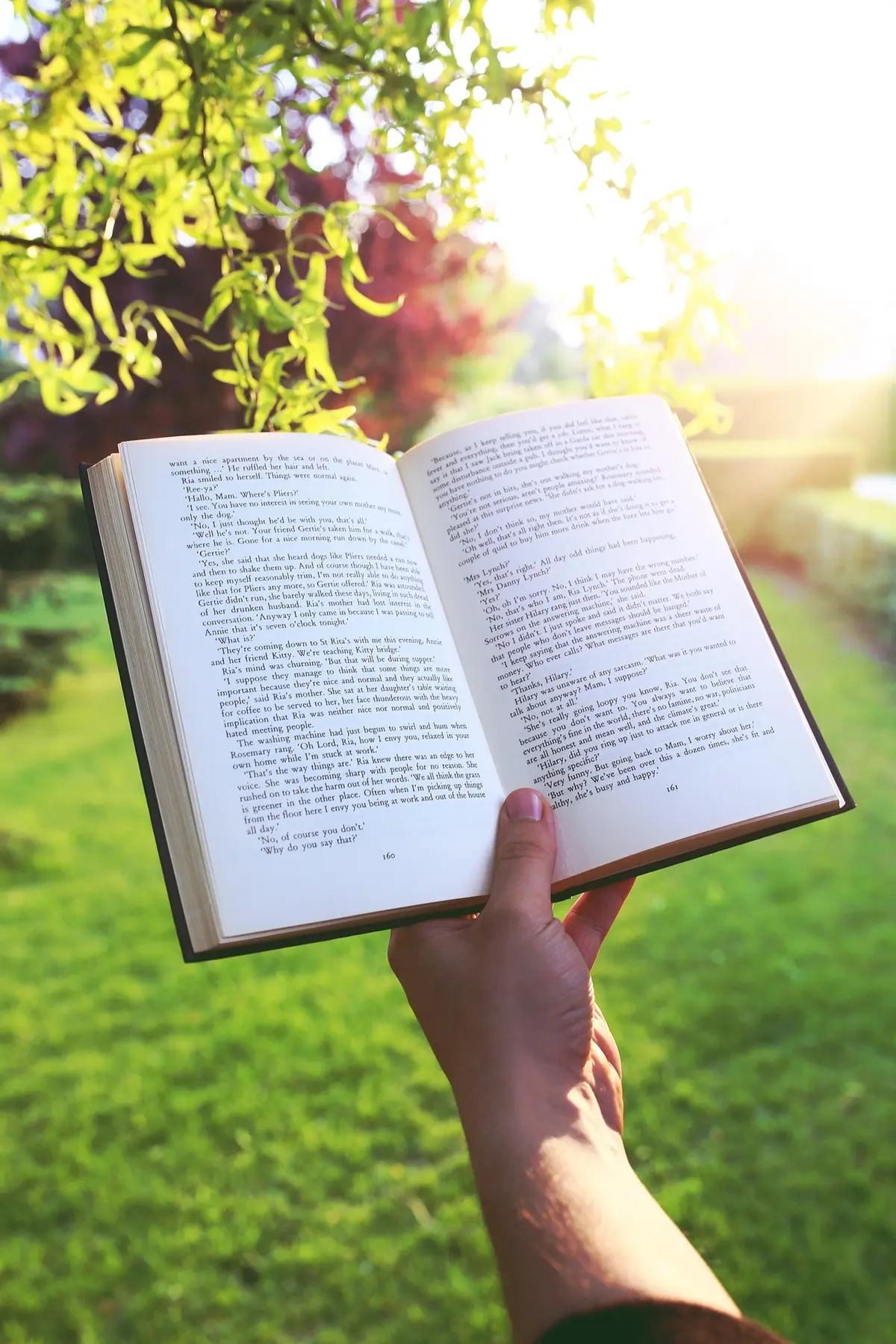 D'un jardin à un autre, lecture sur l'Orientalisme