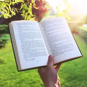 D'un jardin à un autre, lecture sur l'Orientalisme