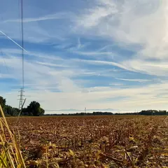 Chants Déter'